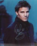 Boreanaz, David